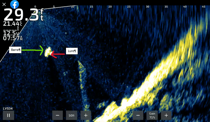 Spotting Fish On Scanner — Sunshine Coast Marine Electrical Doctor In Coolum Beach, QLD